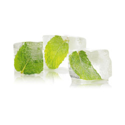 HARVIA koncentrát vůně do sauny, ledová máta 100 ml 