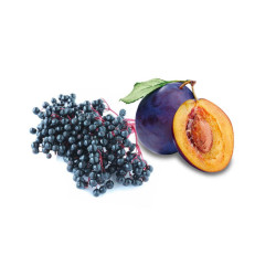 HARVIA koncentrát vůně do sauny, bezu a švestky 100 ml 