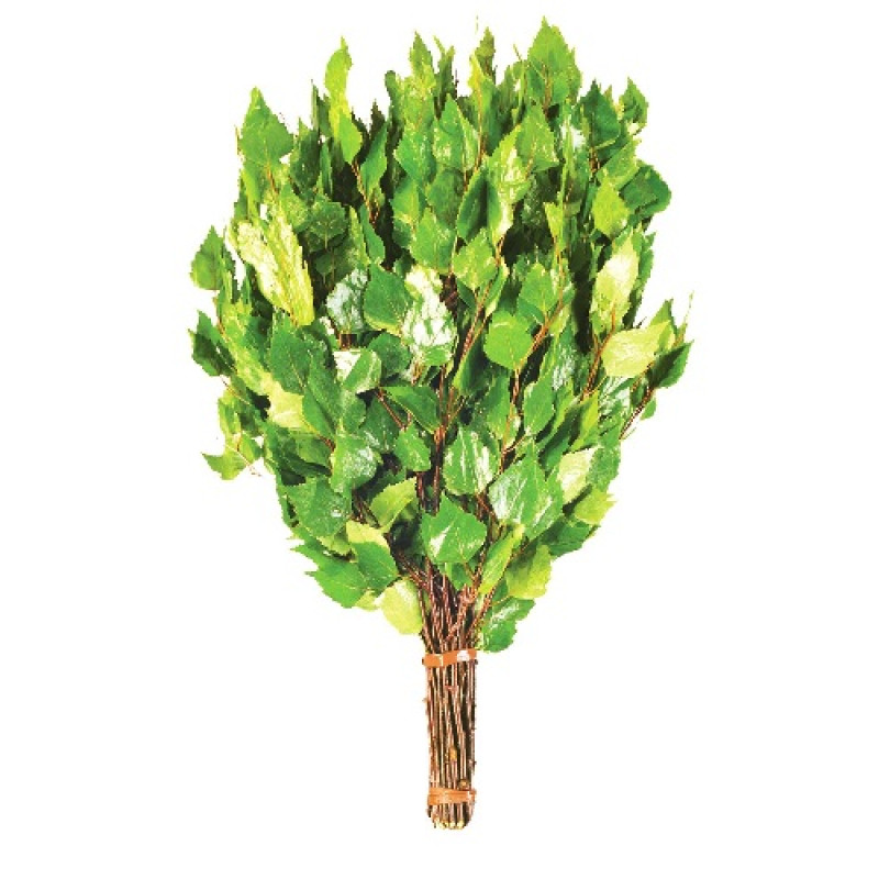 Březová metla s bylinkami