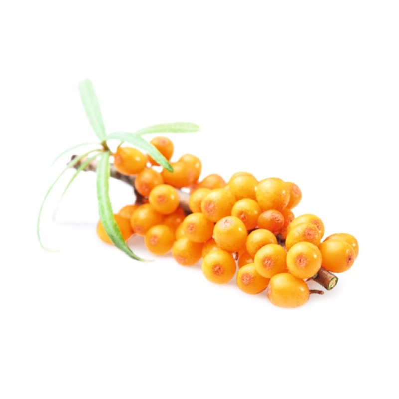 HARVIA koncentrát vůně do sauny, rakytník 1l