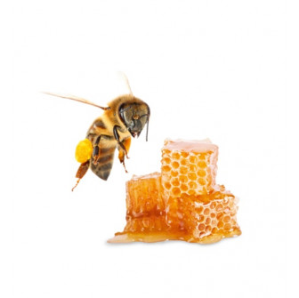 HARVIA vonný koncentrát do sauny, med 1l