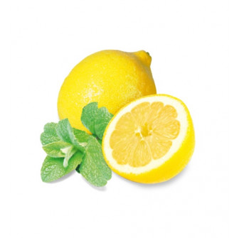 HARVIA koncentrát vůně do sauny, máta a citron 1l