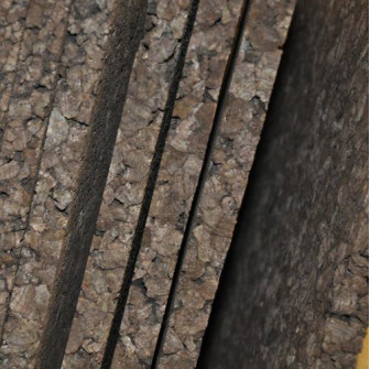 Termokorek