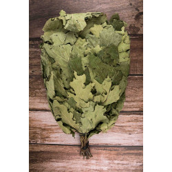 Koště z kanadského dubu 