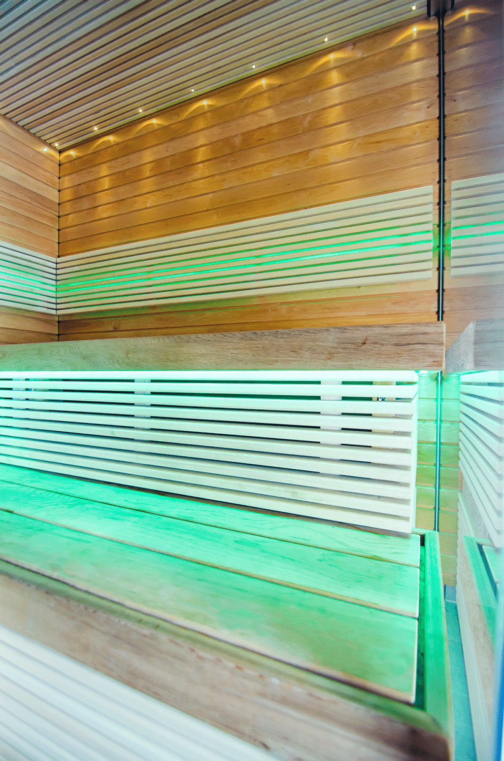 Sauna s parní funkcí